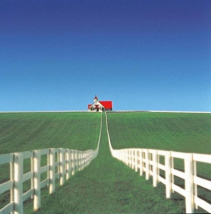 the hillside